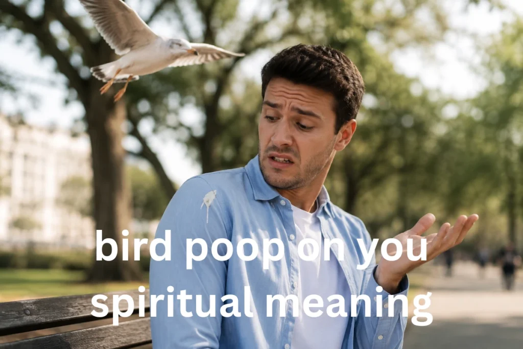 10 Spiritual Meanings of Bird Poop On You
