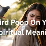 bird-poop-on-you-spiritual-meanings
