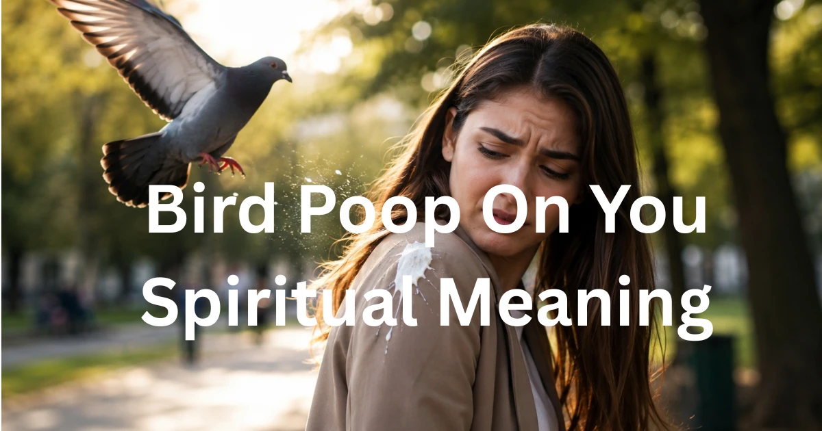 bird-poop-on-you-spiritual-meanings