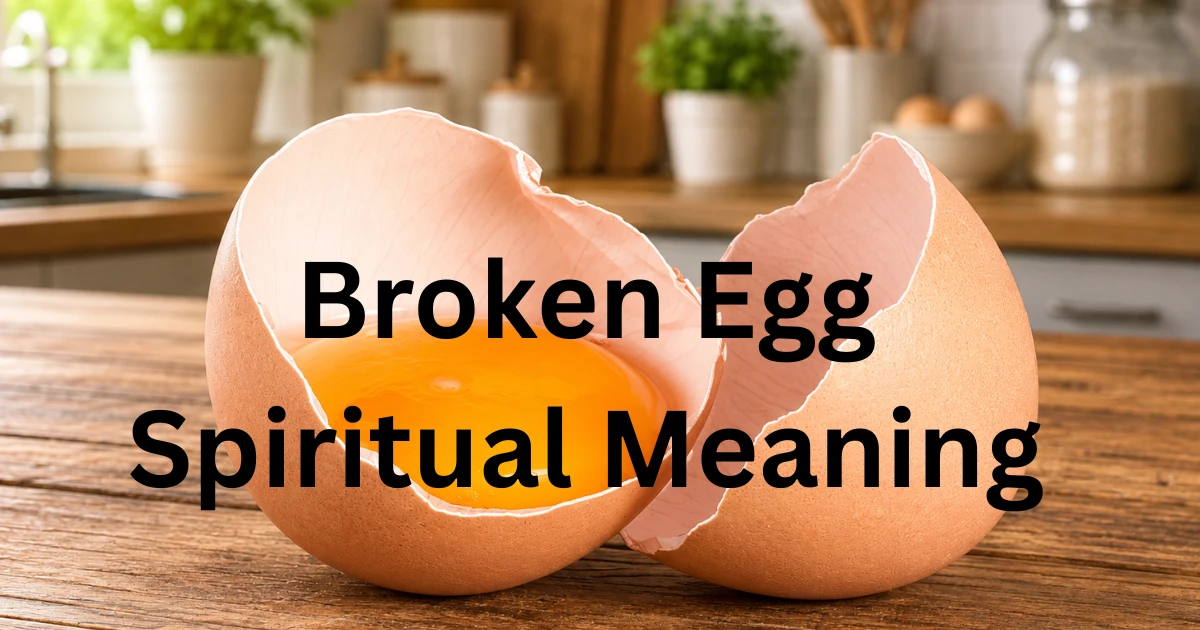 broken egg spiritual meanings