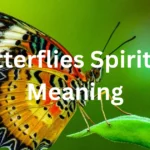 butterflies-spiritual-meaning