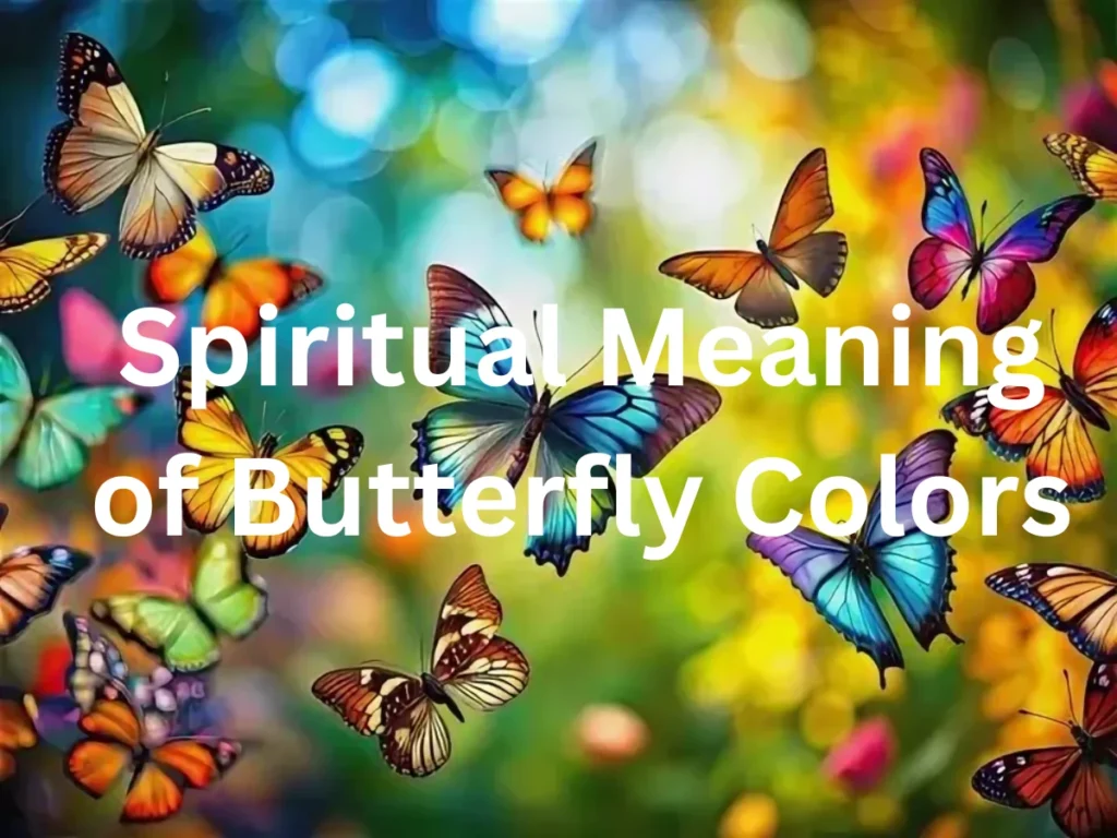 Spiritual Meaning of Butterfly Colors