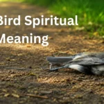 dead bird spiritual meaning